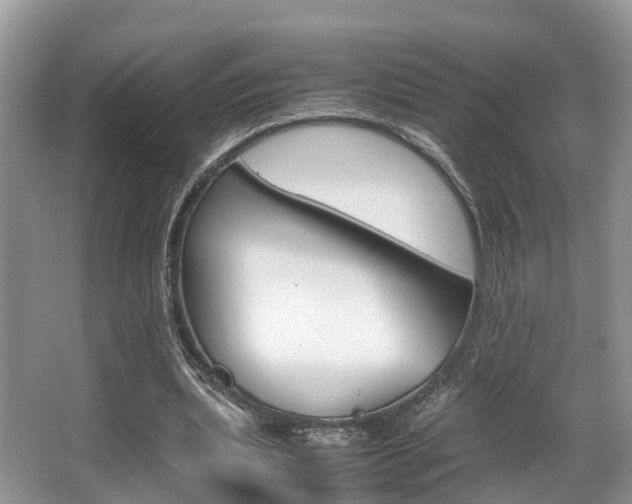 X0000067340439200603310928