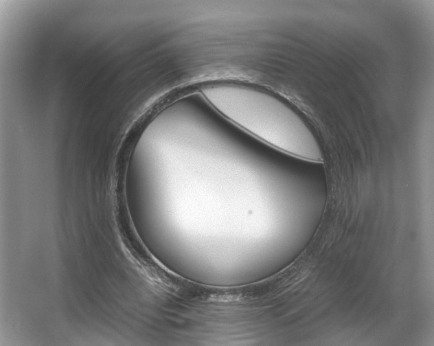 X0000067340440200603310928