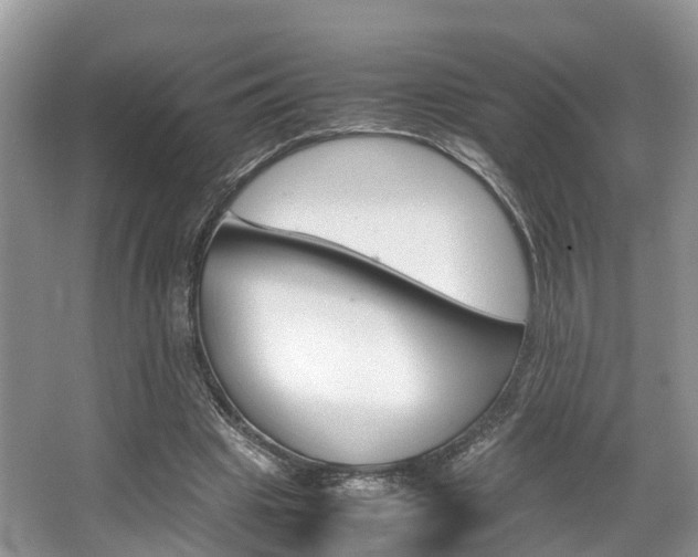 X0000067340441200603310928