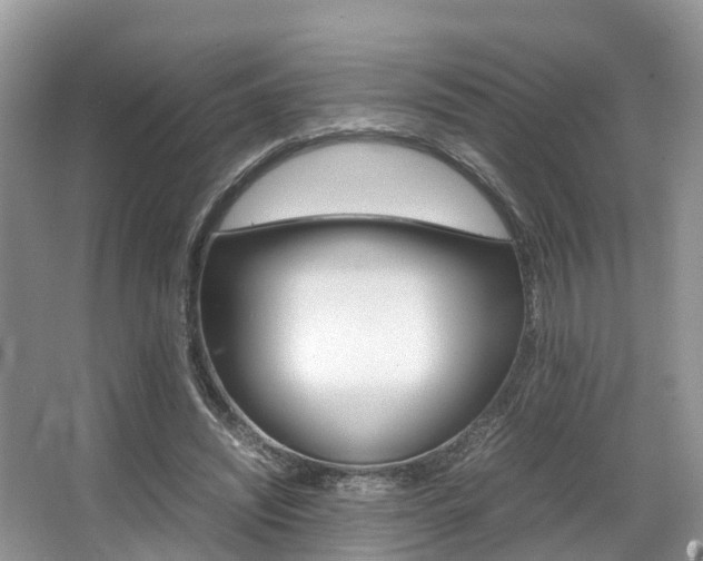 X0000067340444200603310929