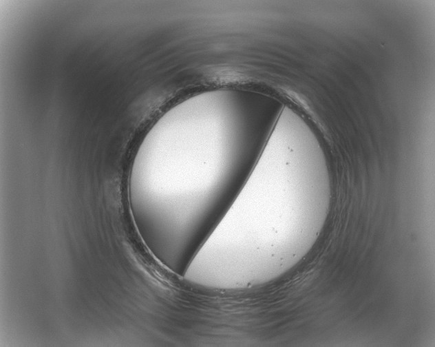 X0000067340447200603310929