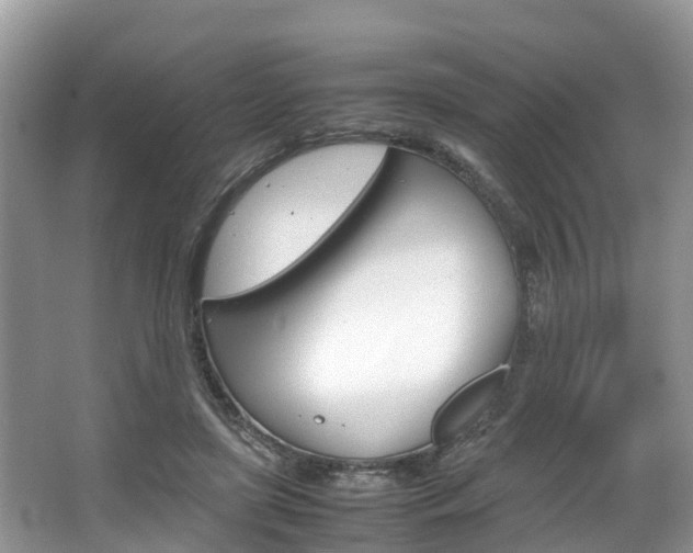 X0000067340451200603310929