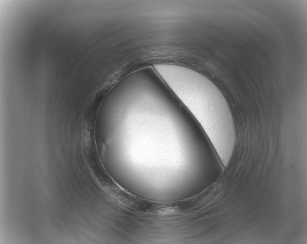 X0000067340456200603310929