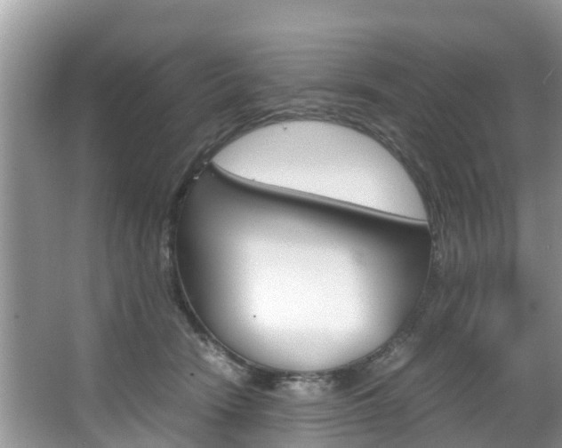X0000067340466200603310929