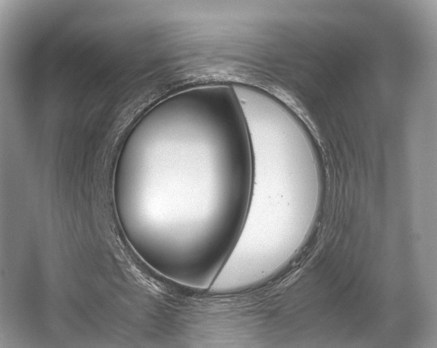 X0000067340481200603310928