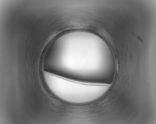 X0000067340483200603310928