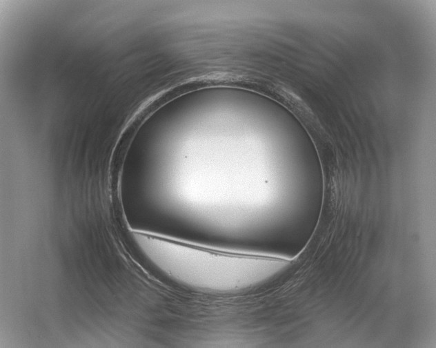 X0000067340484200603310928