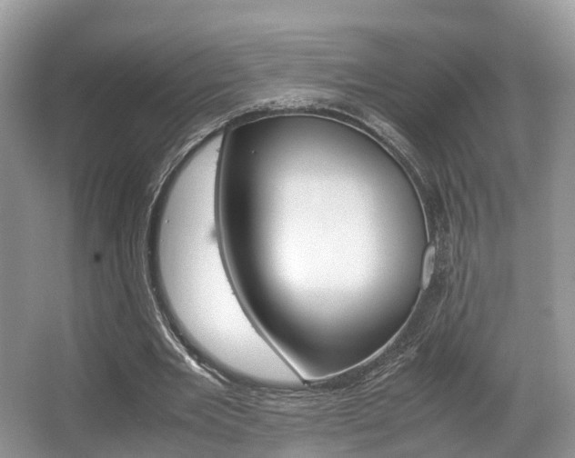 X0000067340485200603310928