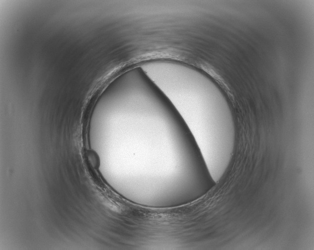 X0000067340486200603310928