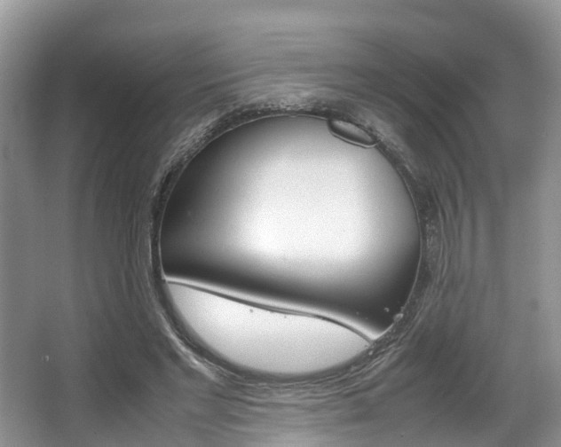 X0000067340493200603310928