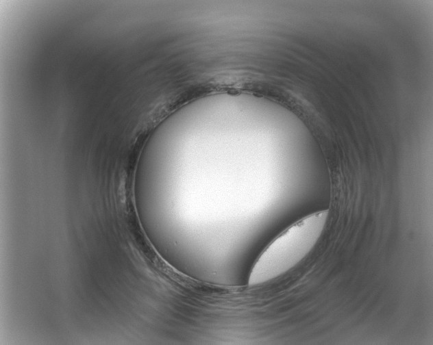 X0000067340504200603310928