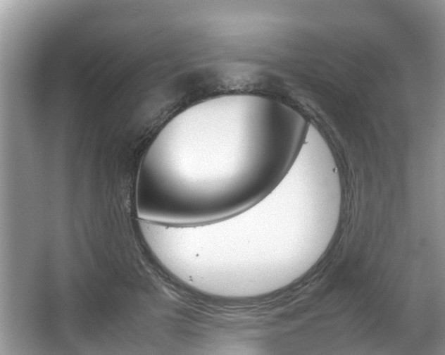 X0000067340505200603310928