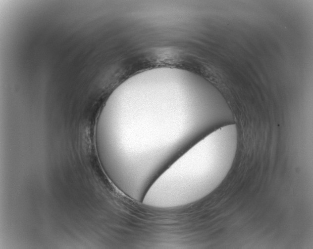X0000067340506200603310928