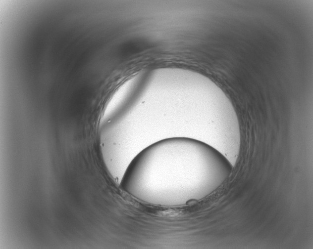 X0000067340511200603310928