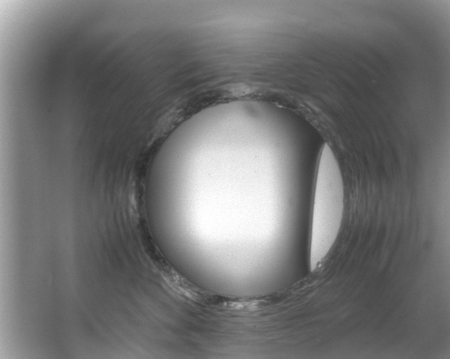 X0000067340524200603310928