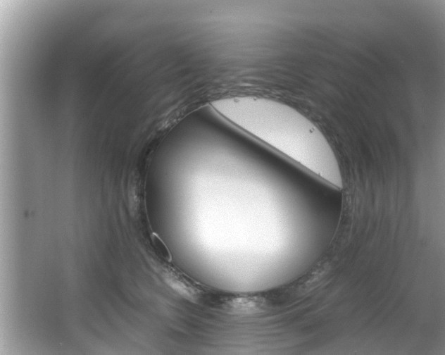 X0000067340566200603310927