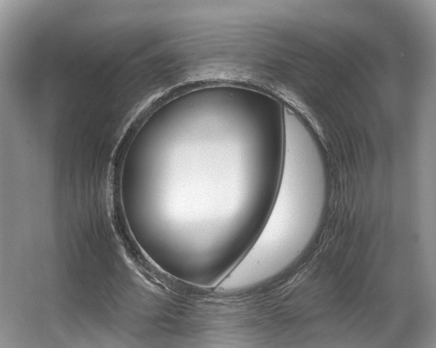 X0000067340580200603310927