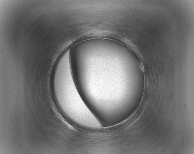 X0000067340581200603310927