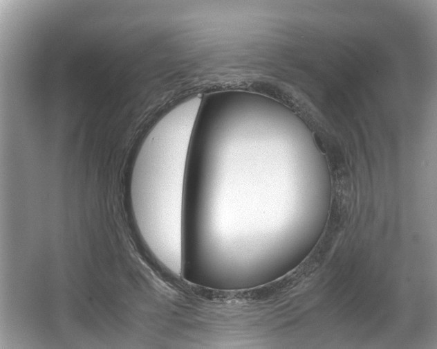 X0000067340593200603310926