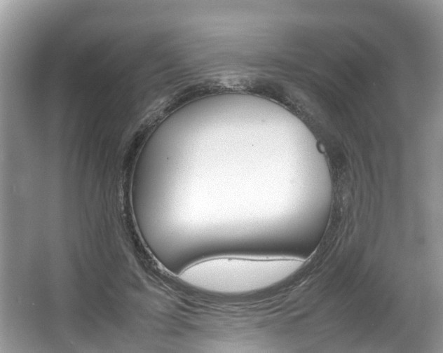 X0000067340595200603310926