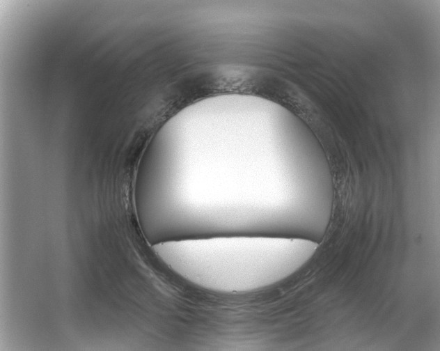 X0000067340602200603310926