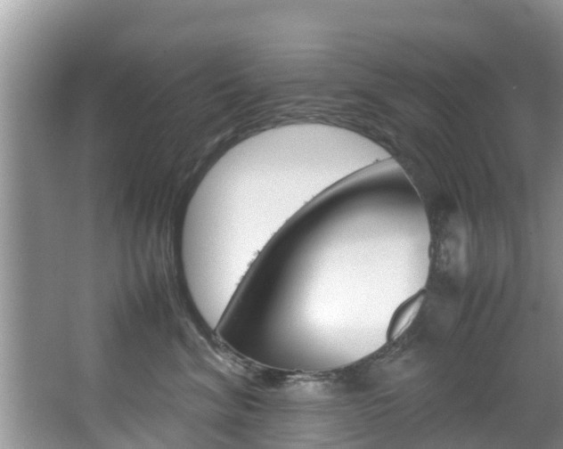 X0000067340620200603310926