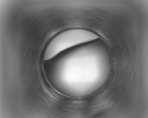 X0000067340631200603310925