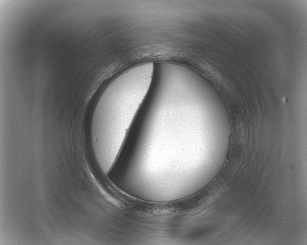 X0000067340638200603310925