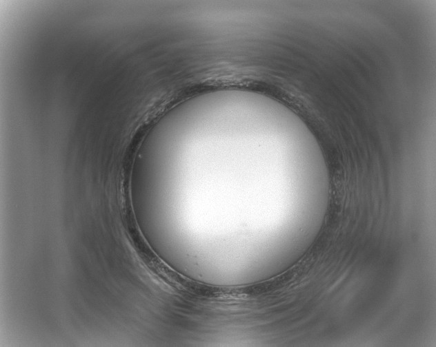 X0000067340642200603310925