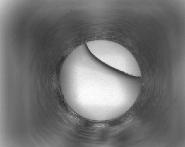 X0000067340659200603310926