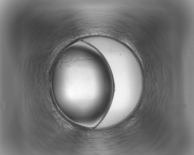 X0000067340673200603310925