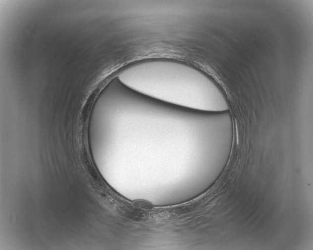 X0000067340675200603310925