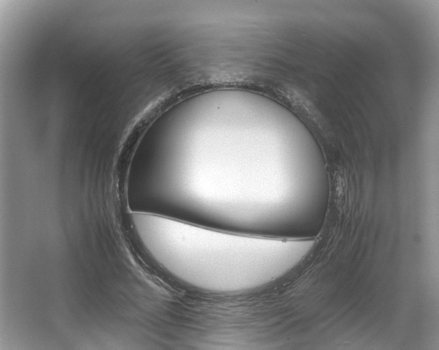 X0000067340684200603310925