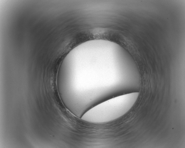 X0000067340698200603310925