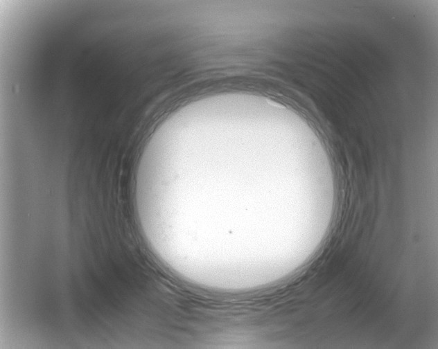 X0000067340701200603310925