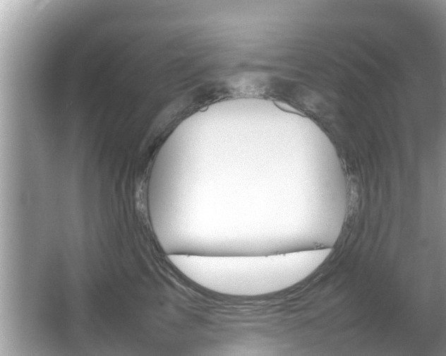 X0000067340713200603310924