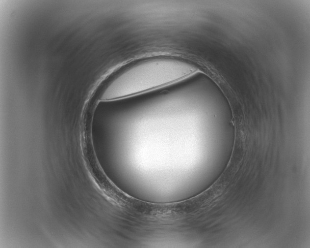 X0000067340728200603310924