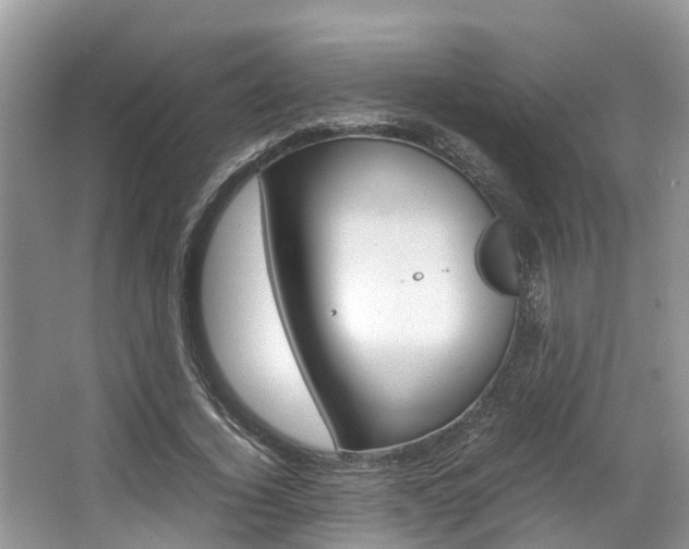 X0000067340732200603310924