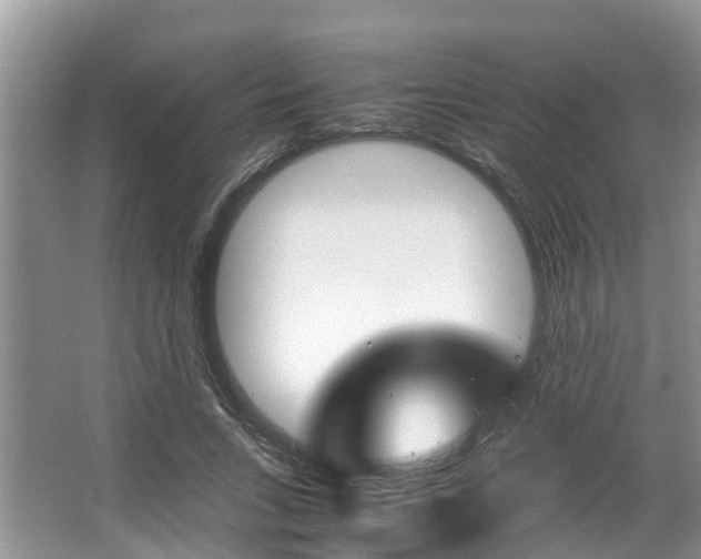 X0000067340735200603310924
