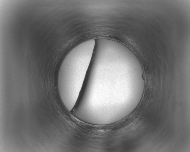X0000067340737200603310924
