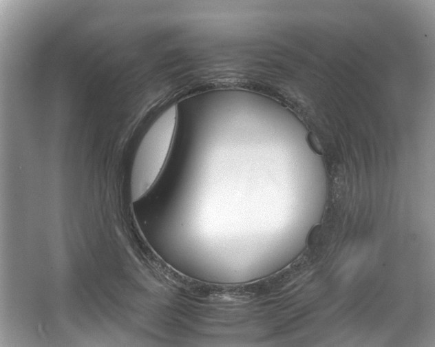 X0000067340739200603310924
