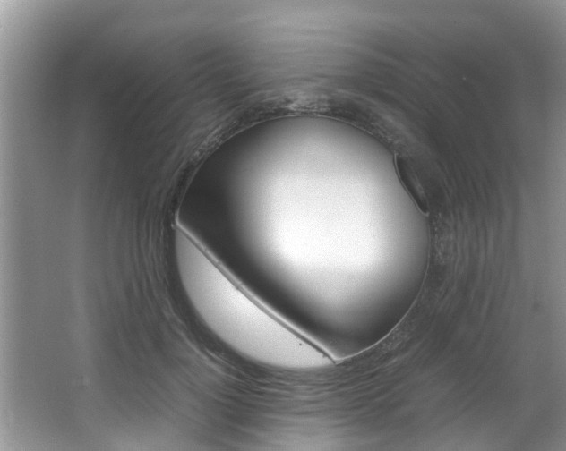 X0000067340748200603310924