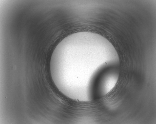 X0000067340750200603310924