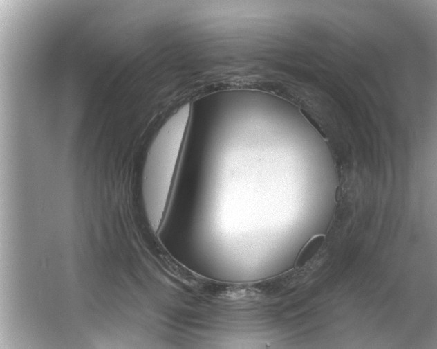X0000067340752200603310924