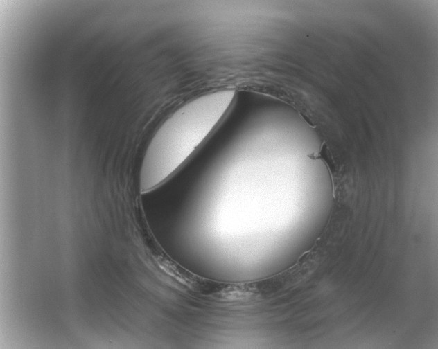 X0000067340756200603310924