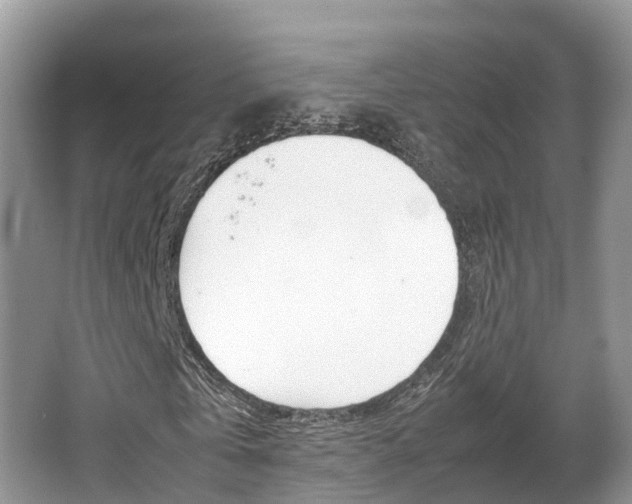X0000067340769200603310923