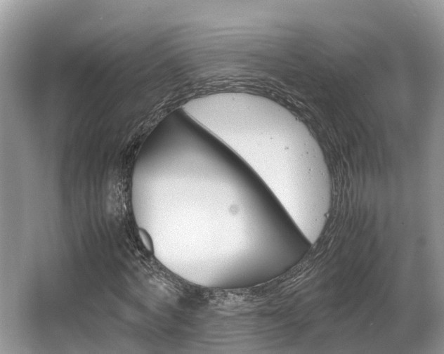 X0000067340772200603310923