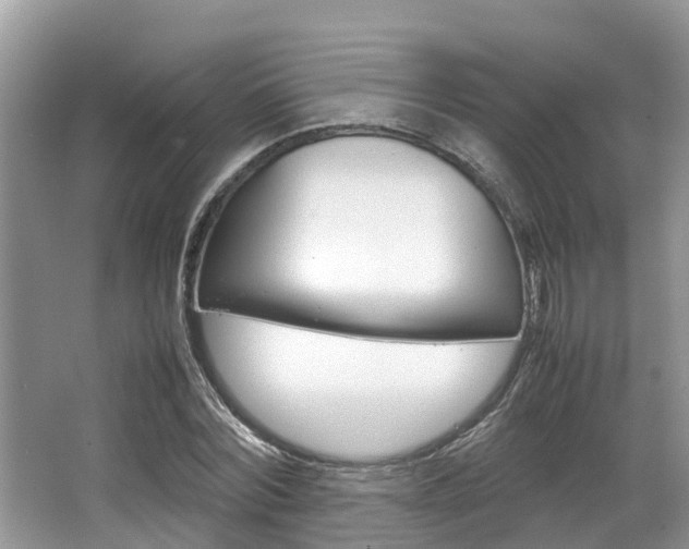 X0000067340780200603310923