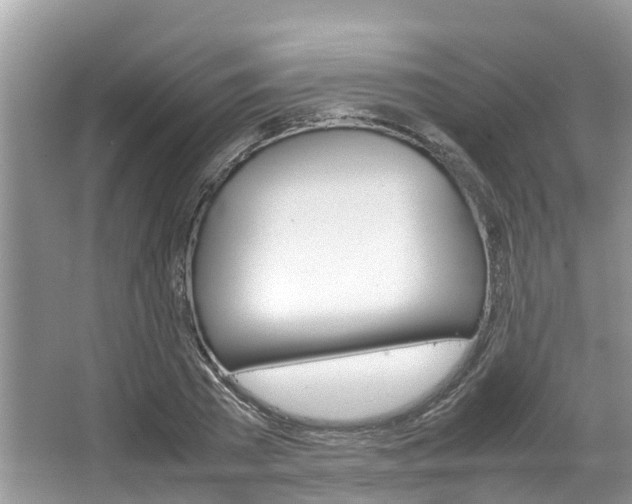 X0000067340785200603310923