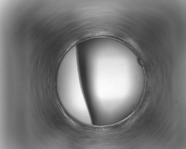 X0000067340793200603310923